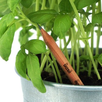 Sprout Plantable Pencil