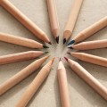 Sprout Pencil 可种植铅笔