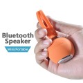 Portable wireless Bluetooth speaker