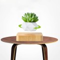 Flower Pot Magnetic Levitating Plant