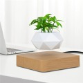 Flower Pot Magnetic Levitating Plant