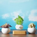 Flower Pot Magnetic Levitating Plant