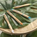 Bamboo Ballpoint Pen