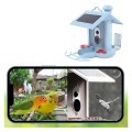 Smart Bird Feeder Solar