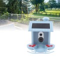 Smart Bird Feeder Solar