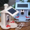 Smart Bird Feeder Solar